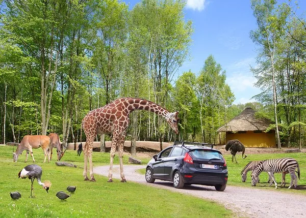 Wild World Safari Park près de Coo